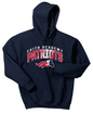 FACS Patriots Style 1 Hoody (Adult)