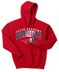FACS Patriots Style 1 Hoody (Adult)