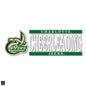 UNCC Cheerleading Vinyl Decal